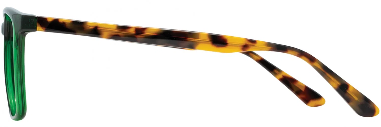 Adin Thomas ATS020 Eyeglasses - view 11